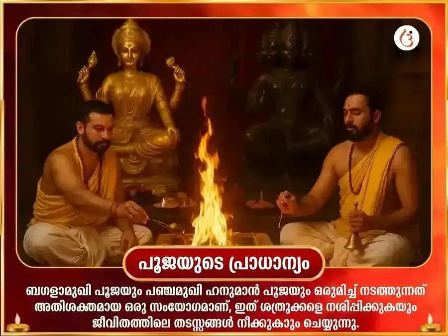 മാ ബഗളാമുഖി പഞ്ചമുഖി ഹനുമാൻ സംയുക്ത് കുങ്കുമം ഹൽദി തന്ത്രയുക്ത് മഹാ ഹവൻ puja gallery 5