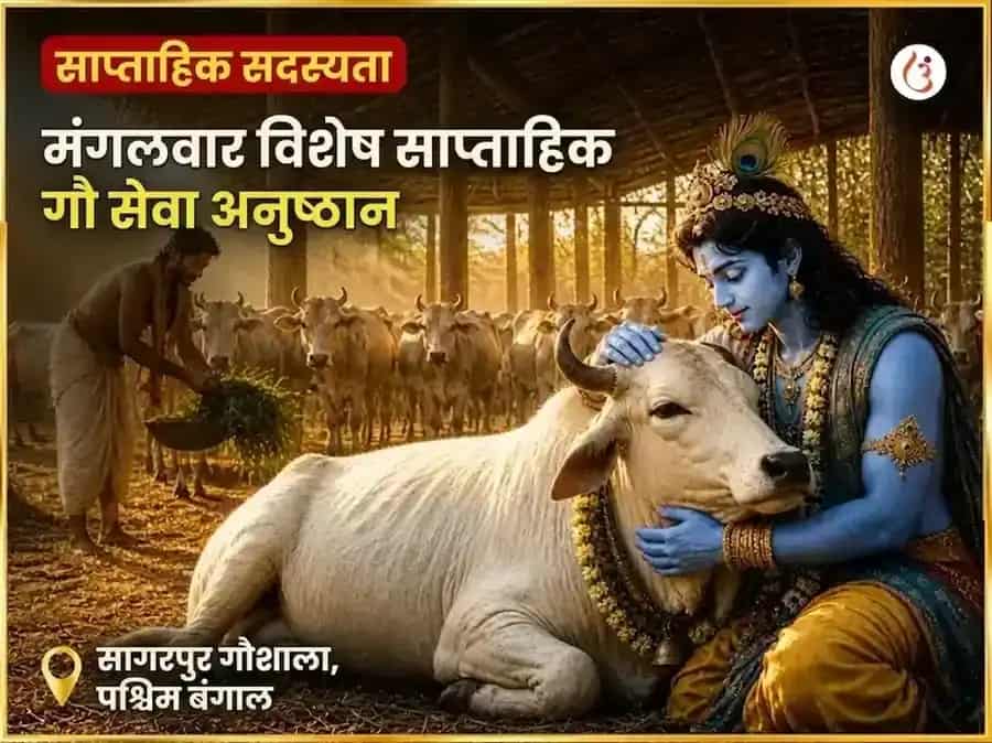 मंगलवार विशेष साप्ताहिक गौ सेवा अनुष्ठान puja image 1