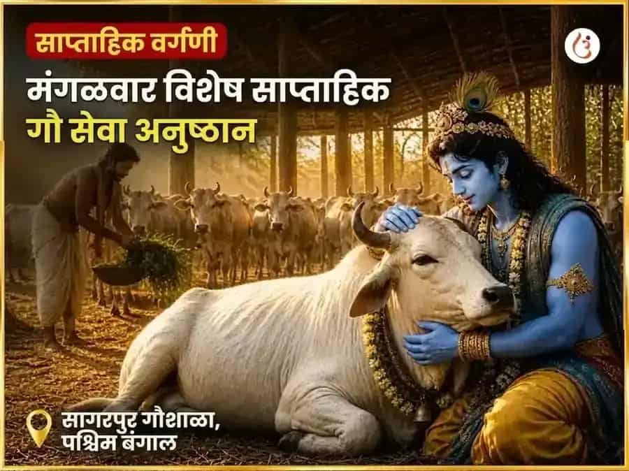 मंगळवार विशेष साप्ताहिक गौ सेवा अनुष्ठान puja image 1