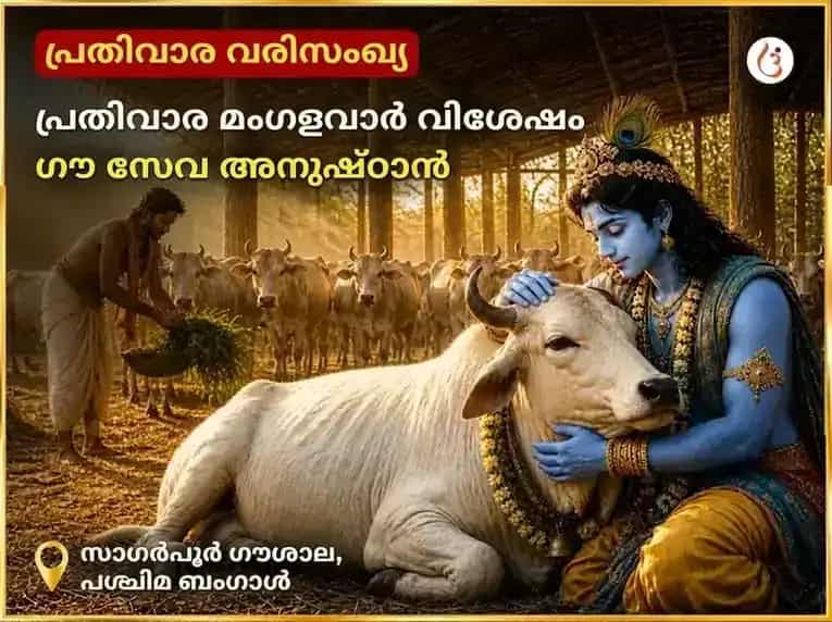 മംഗൾവാർ വിശേഷ് പ്രതിവാര ഗൗ സേവ അനുഷ്ഠാൻ puja image 1