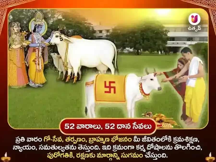 మంగళవార విశేష వారపు గౌ సేవా అనుష్ఠానం puja gallery 2