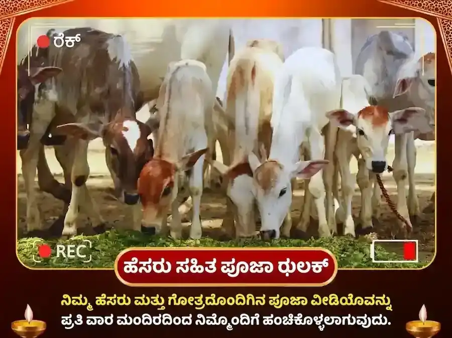 ಮಂಗಳವಾರ ವಿಶೇಷ ಸಾಪ್ತಾಹಿಕ ಗೋ ಸೇವಾ ಅನುಷ್ಠಾನ puja gallery 4