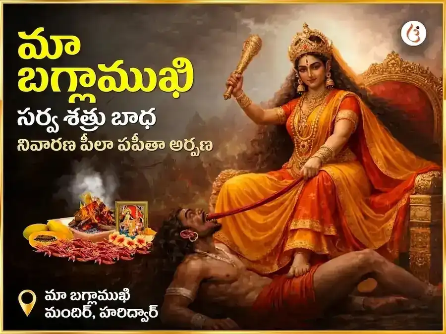 మా బగళాముఖి సర్వ శత్రు బాధా నివారణ పీలా పపీతా అర్పణ puja image 1