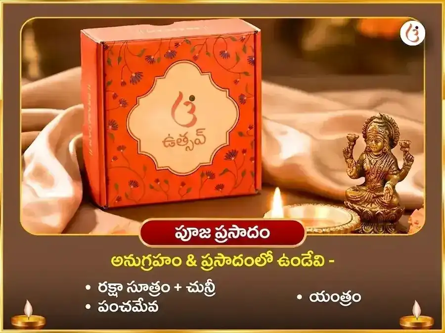 మా బగళాముఖి సర్వ శత్రు బాధా నివారణ పీలా పపీతా అర్పణ puja gallery 3