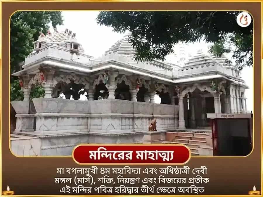 মা বগলামুখী সর্ব শত্রু বাধা নিবারণ পীলা পপিতা অর্পণ puja gallery 4