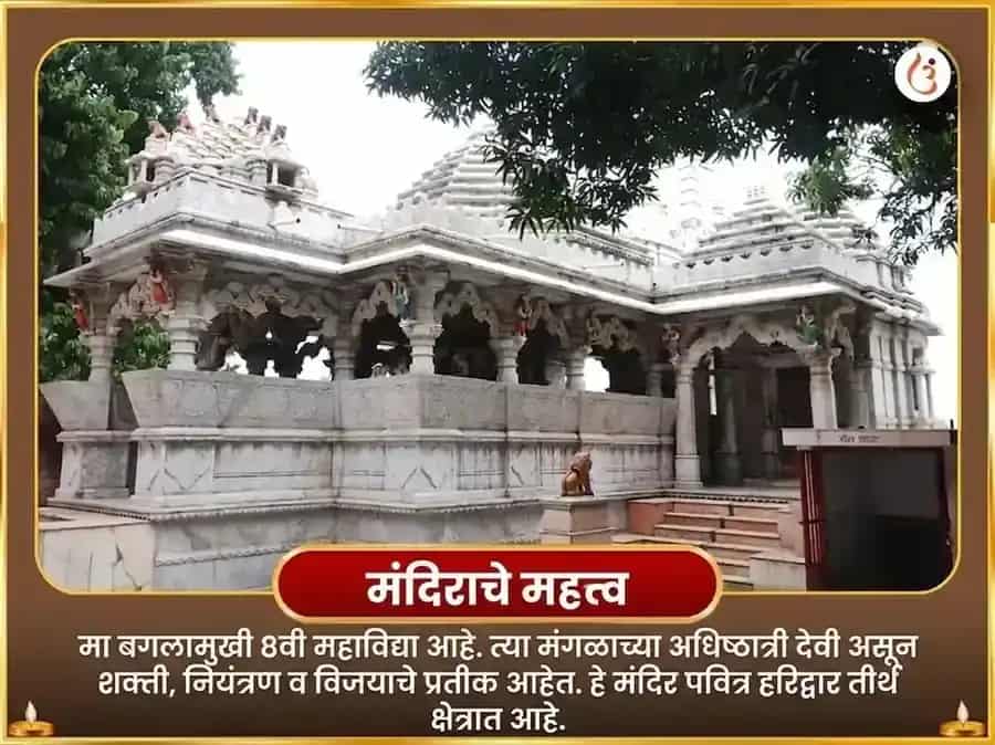 मा बगलामुखी सर्व शत्रू बाधा निवारण पिवळी पपई अर्पण puja gallery 4