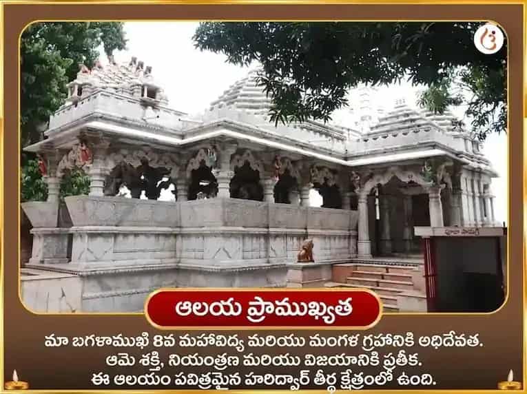 మా బగళాముఖి సర్వ శత్రు బాధా నివారణ పీలా పపీతా అర్పణ puja gallery 4