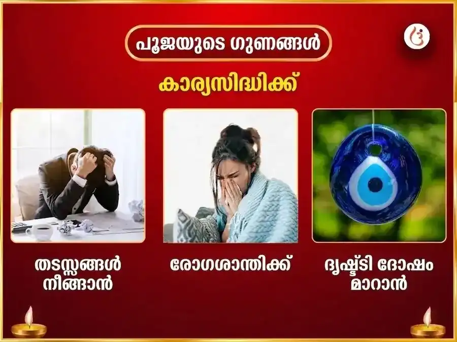 ബക്രേശ്വർ ശക്തിപീഠം വിശേഷ് ദുർഗ്ഗാ സപ്തശതി പാഠവും നവചണ്ഡി ഹവനവും puja gallery 1