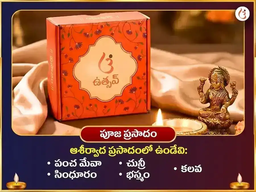 కేతు ప్రళయ శాంతి రక్షా కవచ మహా అనుష్ఠాన్ puja gallery 3
