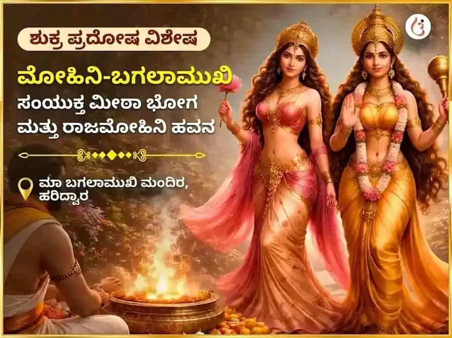 ಶುಕ್ರ ಪ್ರದೋಷ ವಿಶೇಷ ಮೋಹಿನಿ–ಬಗಲಾಮುಖಿ ಸಂಯುಕ್ತ ಮೀಠಾ ಭೋಗ್ ಮತ್ತು ರಾಜಮೋಹಿನಿ ಹವನ puja image 1