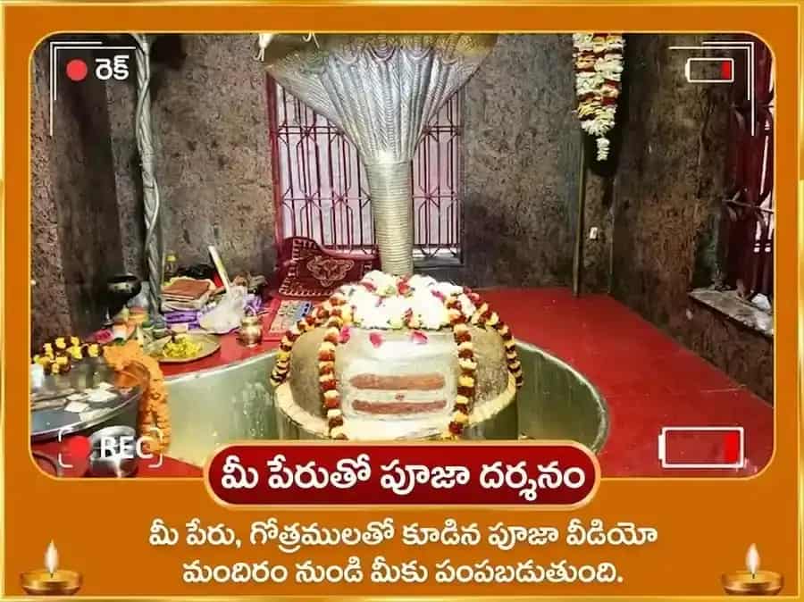 మిథున సంక్రాంతి ప్రత్యేక 10000 సూర్య మంత్ర మూల మంత్ర సహిత 100 లోటాల జల అర్ఘ్య అర్పణ puja gallery 2