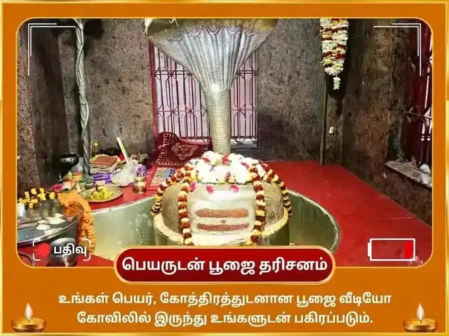 மிதுன சங்கராந்தி சிறப்பு 10000 சூர்ய மூல மந்திரத்துடன் 100 லோட்டா ஜல அர்க்ய அர்ப்பணம் puja gallery 2
