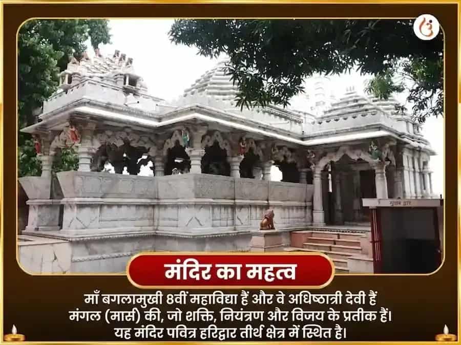 शुक्र प्रदोष विशेष मोहिनी-बगलामुखी संयुक्त मीठा भोग और राजमोहिनी हवन puja gallery 4