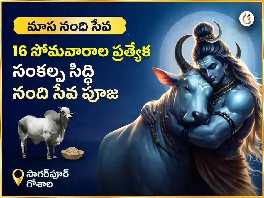 సోమవార విశేష సంకల్ప సిద్ధి సాప్తాహిక నంది సేవ puja image 1