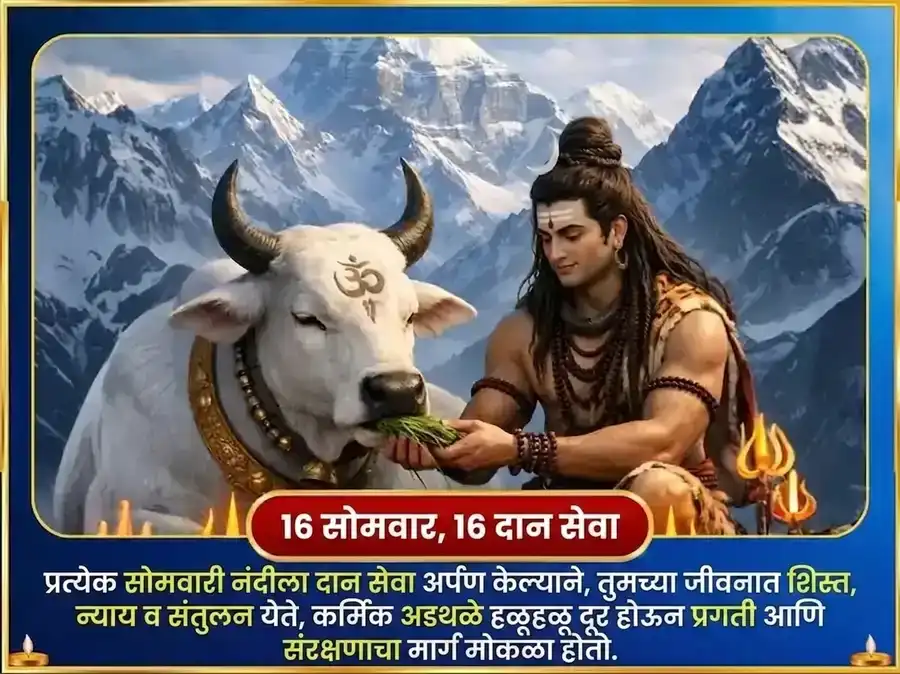 सोमवार विशेष मनोकामना पूर्ती साप्ताहिक नंदी सेवा puja gallery 2