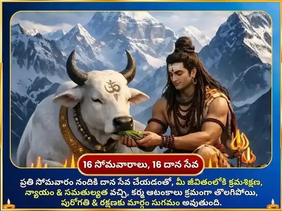 సోమవార విశేష సంకల్ప సిద్ధి సాప్తాహిక నంది సేవ puja gallery 2