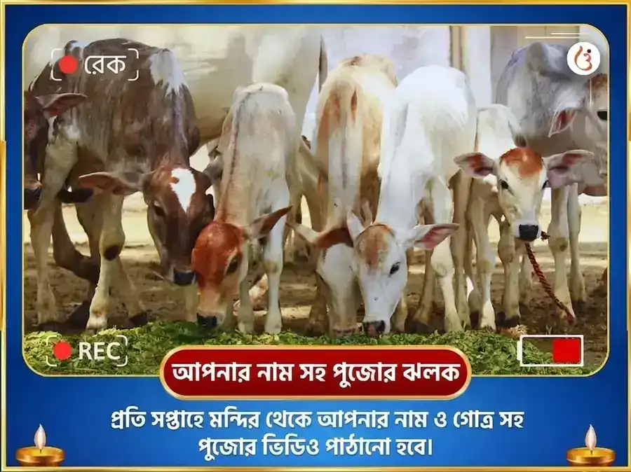 সোমবার বিশেষ মনোকামনা পূর্তি সাপ্তাহিক নন্দী সেবা puja gallery 4