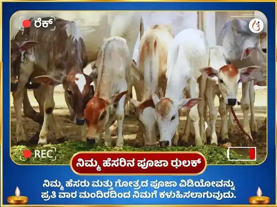 ಶ್ರಾವಣ ಸೋಮವಾರ ವಿಶೇಷ ಸಂಕಲ್ಪ ಸಿದ್ಧಿ ಸಾಪ್ತಾಹಿಕ ನಂದಿ ಸೇವಾ puja gallery 4