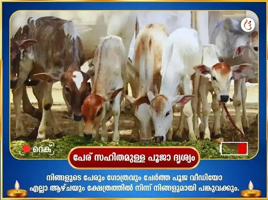 സോമവാര വിശേഷ അഭീഷ്ടസിദ്ധി സാപ്താഹിക നന്ദി സേവ puja gallery 4