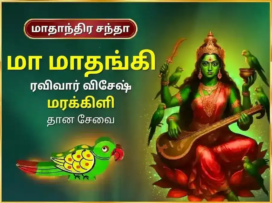 ரவிவார் விசேஷ மா மாதங்கி வாராந்திர மரக்கிளி தான சேவா puja image 1