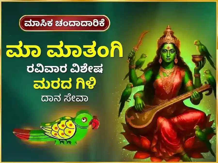 ರವಿವಾರ ವಿಶೇಷ ಮಾ ಮಾತಂಗಿ ಸಾಪ್ತಾಹಿಕ ಮರದ ಗಿಳಿ ದಾನ ಸೇವಾ puja image 1