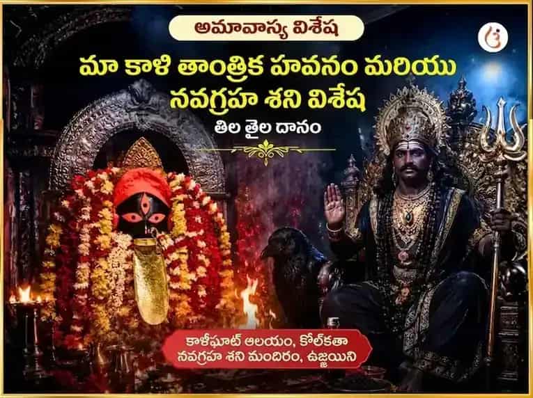 అమావాస్య విశేష్ మా కాళి తాంత్రిక హవనం & నవగ్రహ శని విశేష్ తేల్ తిల్ దాన్ puja image 1