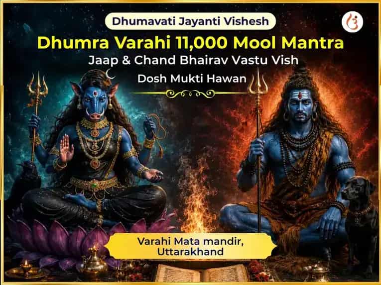 Dhumavati Jayanti Vishesh Dhumra Varahi 11,000 Mool Mantra Jaap & Chand Bhairav Vastu Vish Dosh Mukti Hawan puja image 1