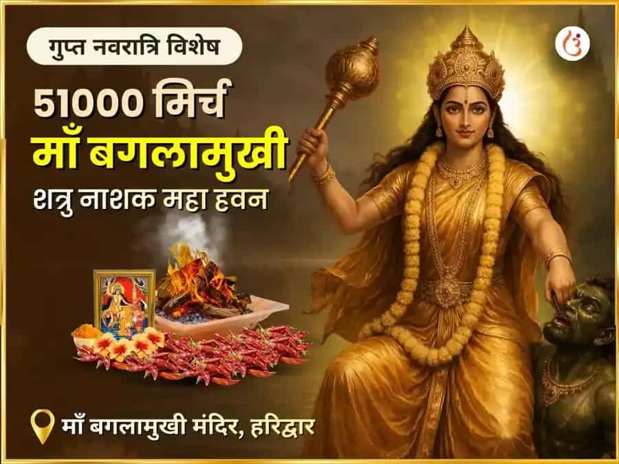 गुप्त नवरात्रि विशेष 51000 मिर्ची माँ बगलामुखी शत्रु नाशक महा तंत्र हवन puja image 1