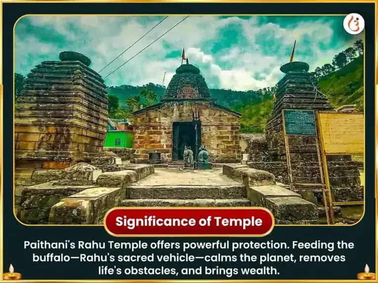 Seraphic Quartum  4:4 Divine Manifestation Portal Special 44,000 Rahu Mool Mantra Jaap & Buffalo Seva  puja gallery 4