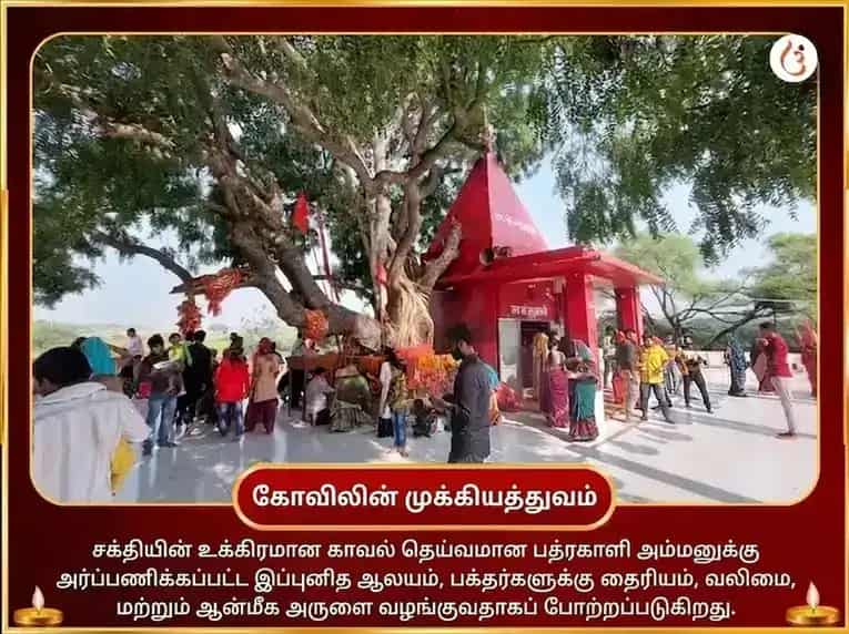 மா பத்ரகாளி 108 முண்ட மாலா சேவா மற்றும் விஜய சம்ரித்தி பீஜ மந்திர ஜாப அனுஷ்டான் puja gallery 4