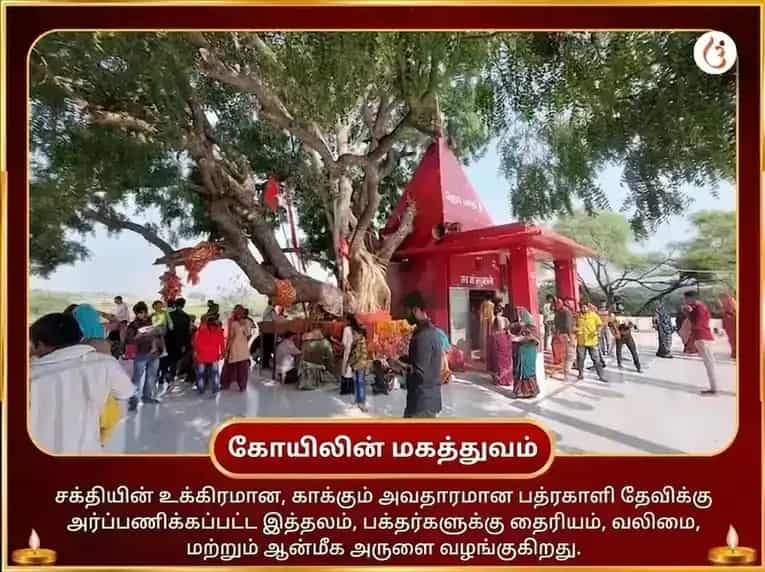 மா பத்ரகாளி 108 முண்ட மாலா சேவா மற்றும் விஜய சம்ரித்தி பீஜ மந்திர ஜாப அனுஷ்டான் puja gallery 4
