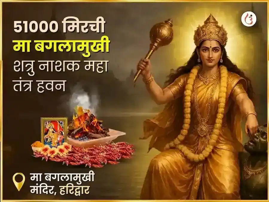 गुप्त नवरात्री विशेष 51000 मिरची माँ बगलामुखी शत्रु नाशक महा तंत्र हवन puja image 1