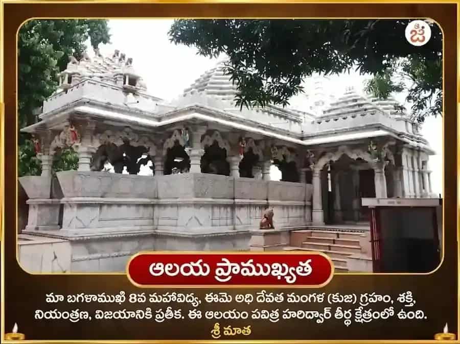 గుప్త నవరాత్రి విశేష్ 51000 మిర్చి మా బగలాముఖి శత్రు నాశక్ మహా తంత్ర హవన్ puja gallery 4