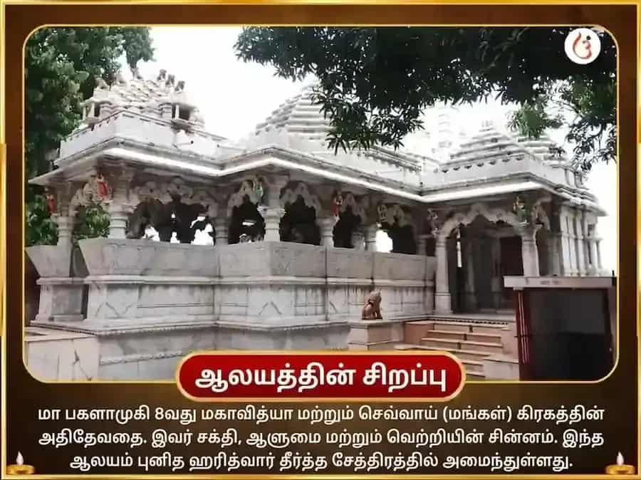 குப்த நவராத்திரி விசேஷ 51000 மிர்ச்சி மா பகளாமுகி சத்ரு நாசக மகா தந்திர ஹவன் puja gallery 4