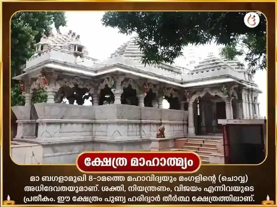 ഗുപ്ത നവരാത്രി വിശേഷ് 51000 മിർച്ചി മാ ബഗളാമുഖി ശത്രു നാശക് മഹാ തന്ത്ര ഹവൻ puja gallery 4