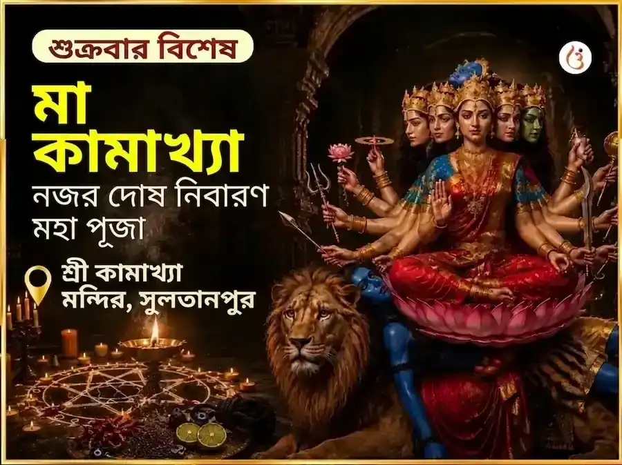 মা কামাখ্যা নজর দোষ নিবারণ তন্ত্র সিদ্ধি মহাপূজা puja gallery 5