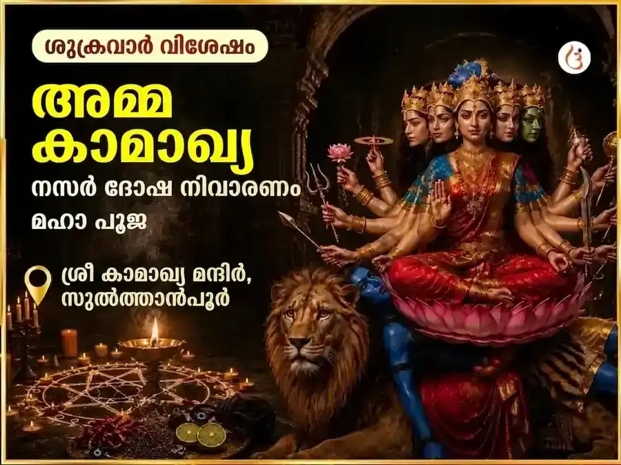 മാ കാമാഖ്യ നസർ ദോഷ് നിവാരൺ തന്ത്ര സിദ്ധി മഹാ പൂജ puja image 1