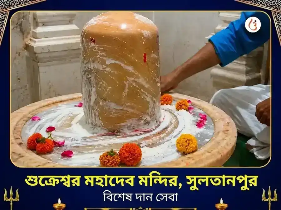 শুক্রেশ্বর মহাদেব বিশেষ দান সেবা puja image 1