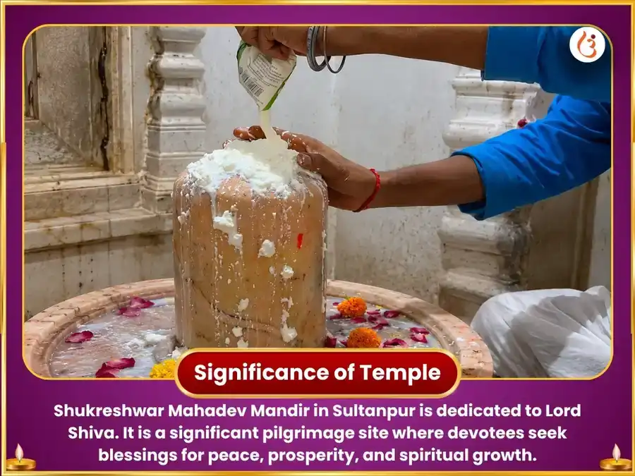 Venus Enters Virgo Special Shukreshwar Mahadev 24,000 Shukra Gayatri Mantra Jaap & Khatta Dahi Abhishek puja gallery 4