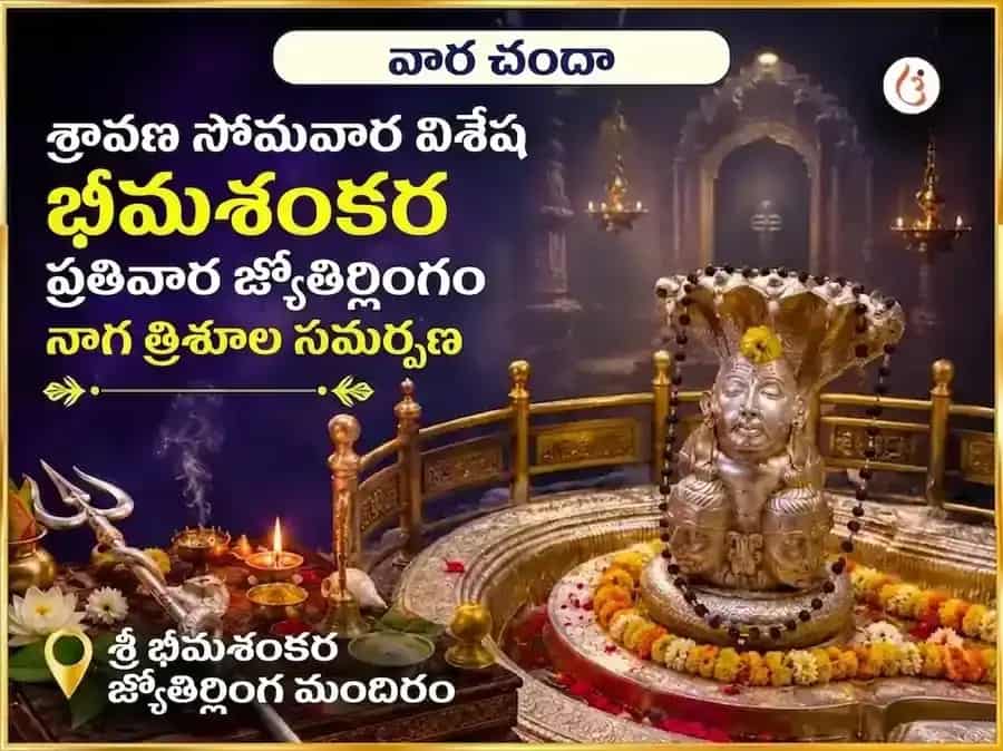 శ్రావణ సోమవార విశేష భీమాశంకర్ జ్యోతిర్లింగ వారపు నాగ త్రిశూల చఢావా puja image 1