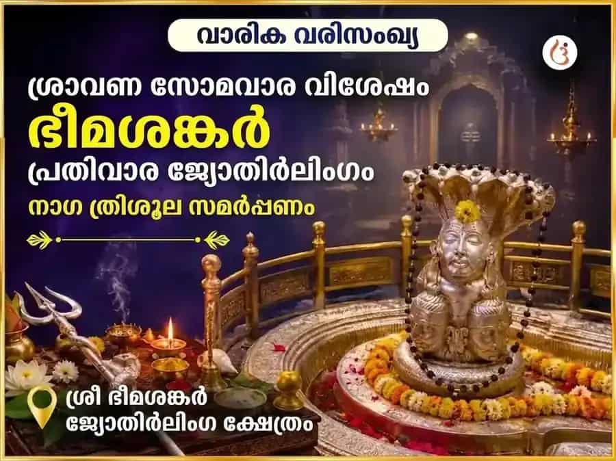 ശ്രാവണ സോമവാര വിശേഷ ഭീമാശങ്കർ ജ്യോതിർലിംഗ പ്രതിവാര നാഗ ത്രിശൂല ചഢാവ puja image 1