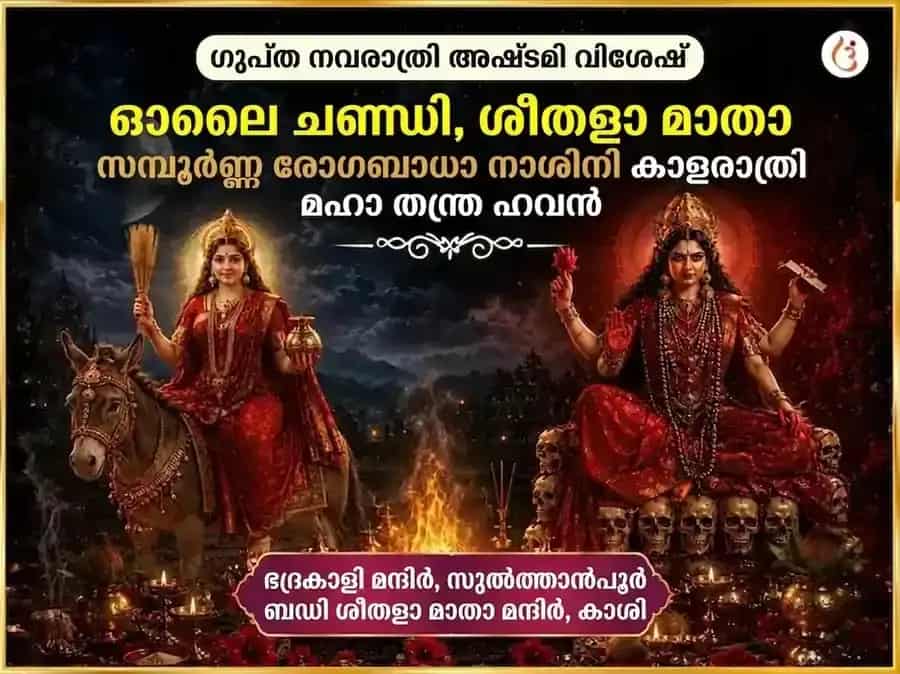 ഗുപ്ത നവരാത്രി മഹാ അഷ്ടമി വിശേഷ് ഓലായ് ചണ്ഡി & ശീതളാ മാതാ സമ്പൂർണ്ണ രോഗ ബാധാ വിനാശക കാളരാത്രി മഹാ തന്ത്ര ഹവന അനുഷ്ഠാനം puja image 1
