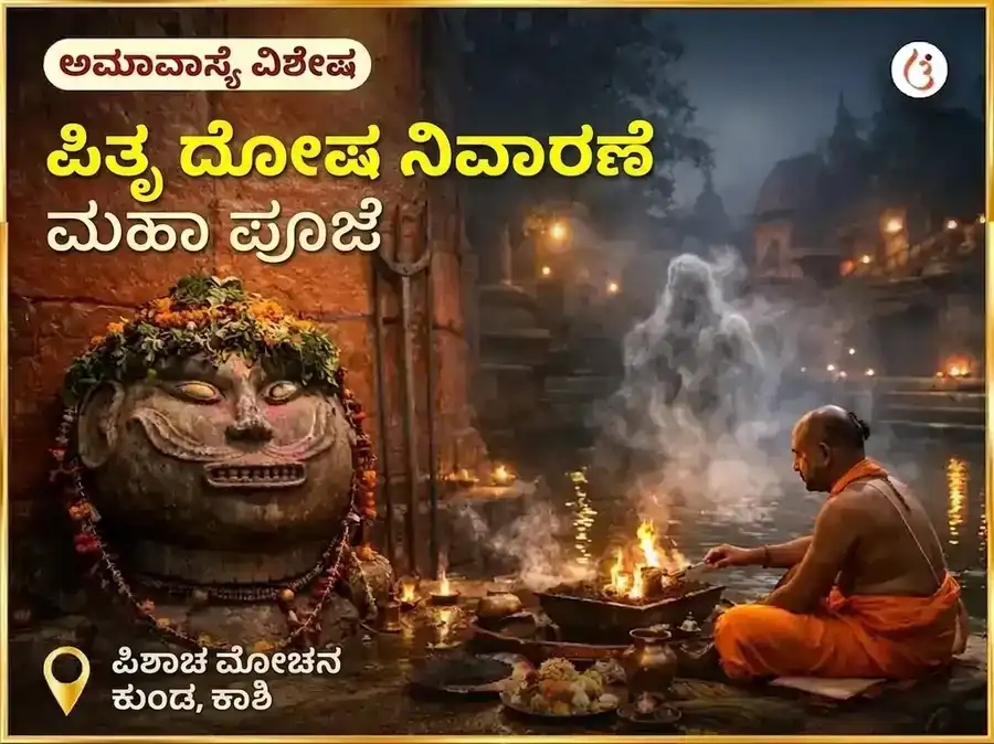 Darsha Amavasya Visesh Pitra Dosh Nivaran Puja puja image 1