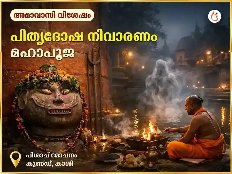 Darsha Amavasya Visesh Pitra Dosh Nivaran Puja puja image 1