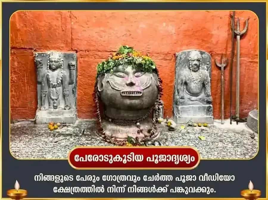 Darsha Amavasya Visesh Pitra Dosh Nivaran Puja puja gallery 2