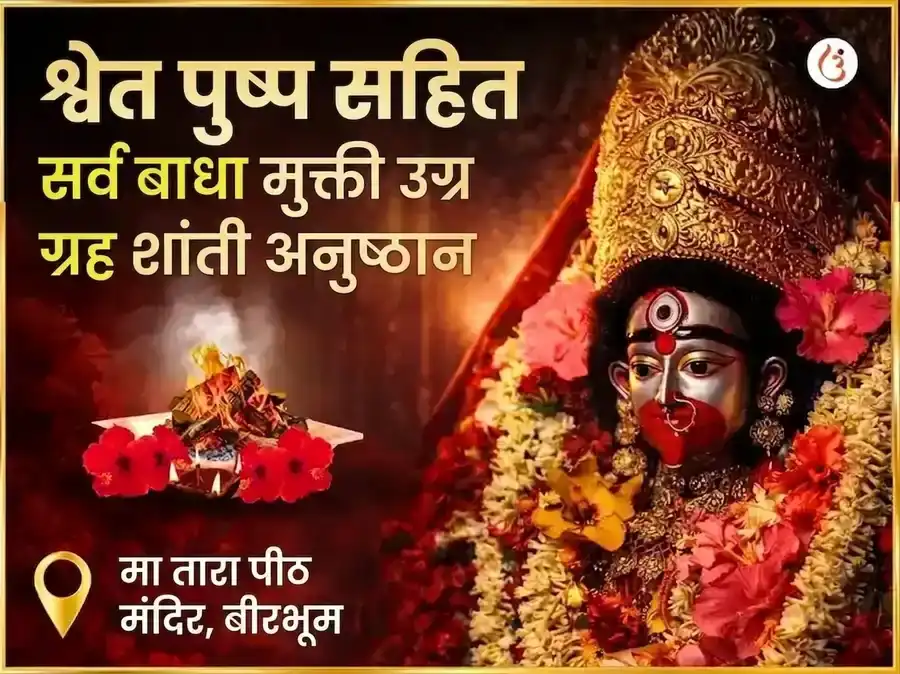 श्वेत पुष्पा सहित सर्व बाधा मुक्ती उग्र ग्रह शांती महाअनुष्ठान puja image 1