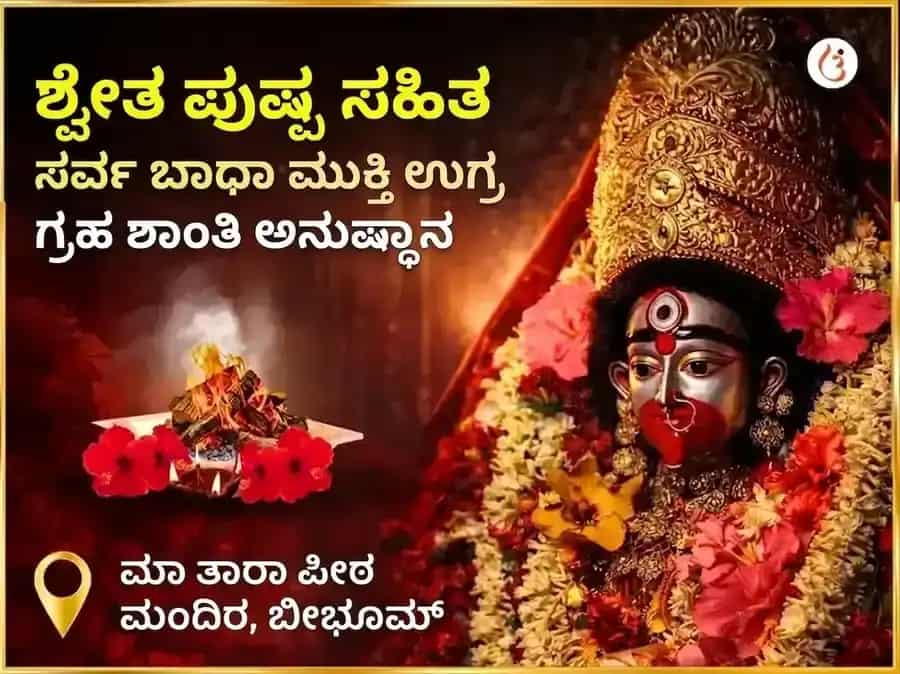 ಶ್ವೇತ ಪುಷ್ಪ ಸಹಿತ ಸರ್ವ ಬಾಧಾ ಮುಕ್ತಿ ಉಗ್ರ ಗ್ರಹ ಶಾಂತಿ ಮಹಾನುಷ್ಠಾನ puja image 1