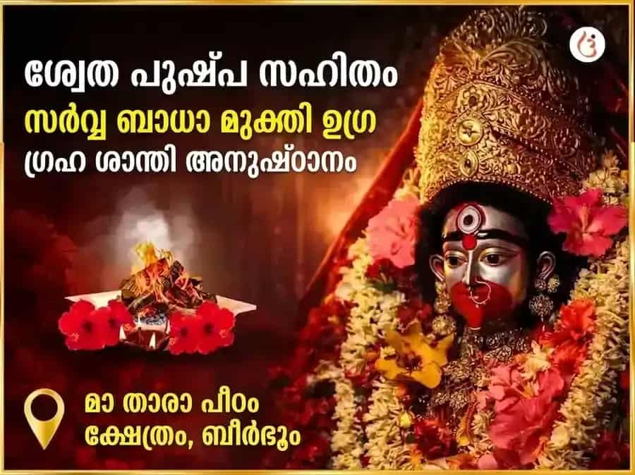 ശ്വേത പുഷ്പ സഹിത സർവ്വ ബാധാ മുക്തി ഉഗ്ര ഗ്രഹ ശാന്തി മഹാനുഷ്ഠാനം puja image 1