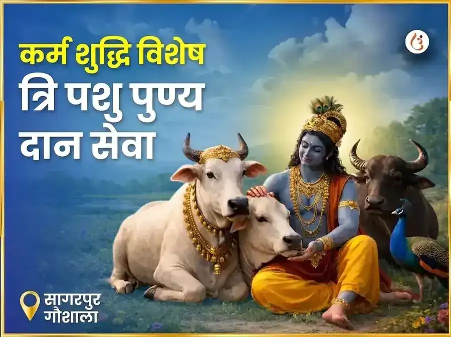 सागरपुर गौशाला कर्म शुद्धि विशेष त्रि पशु पुण्य दान सेवा puja image 1