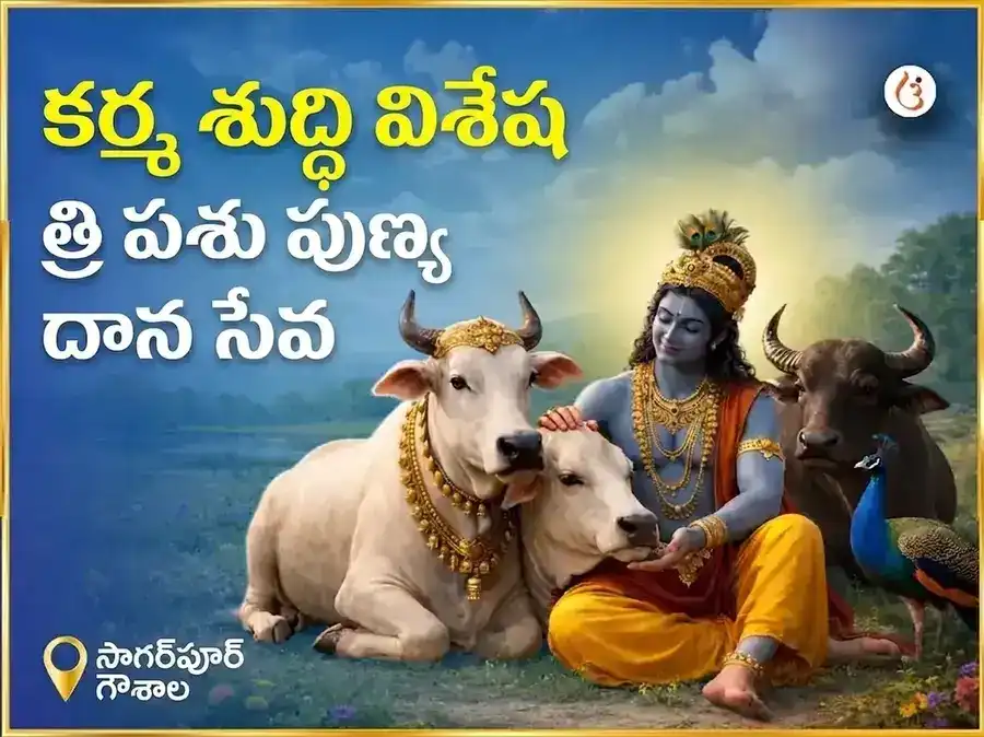 సాగర్‌పూర్ గౌశాల కర్మ శుద్ధి విశేష్ త్రి పశు పుణ్య దాన్ సేవ puja image 1